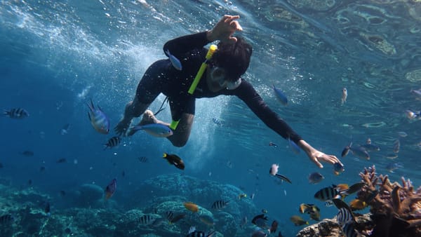 Solo Travel Safety Tips Every First-Timer Should Know